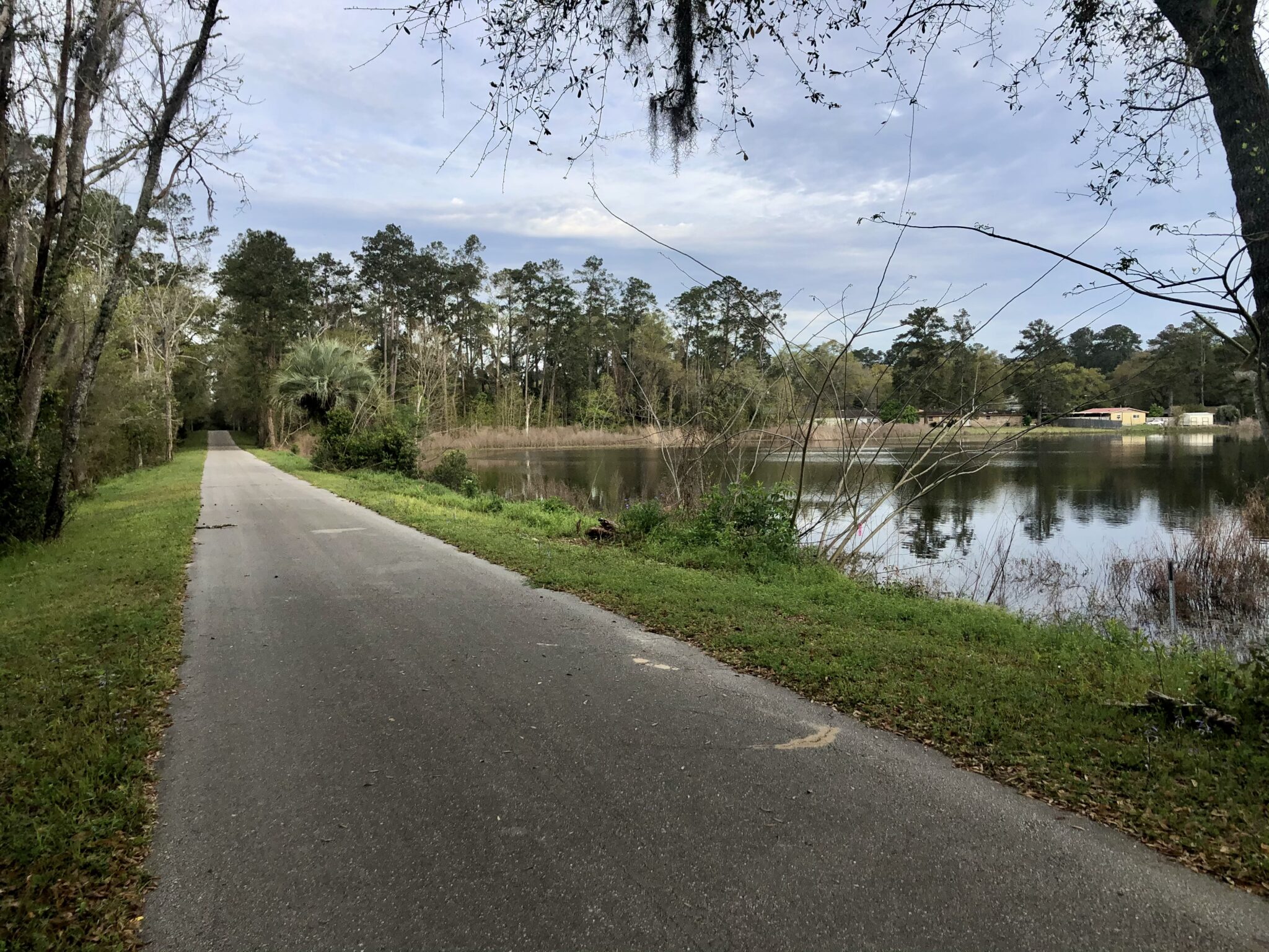 Tales from Tallahassee Florida Bicycle Association